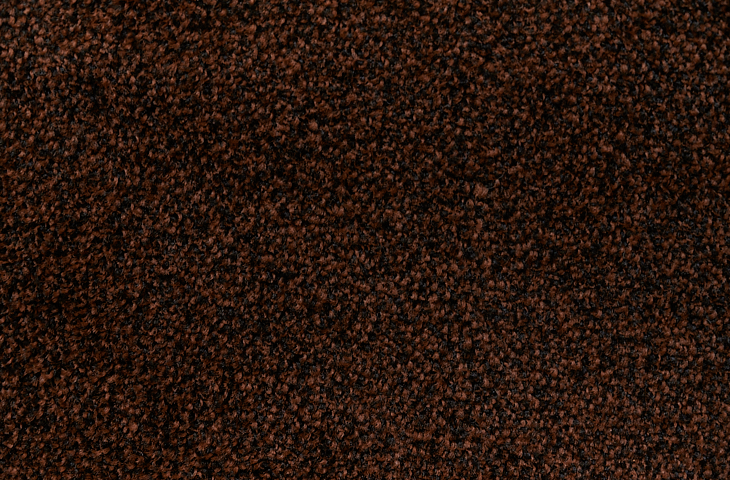 DSC_0208 (1).png